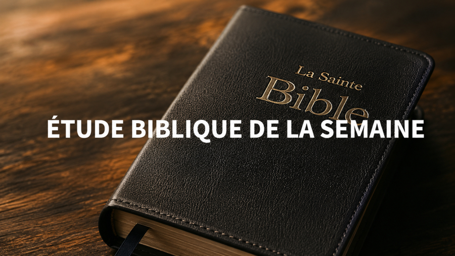 [Leçon 04] - « Le péché dans l’Église »